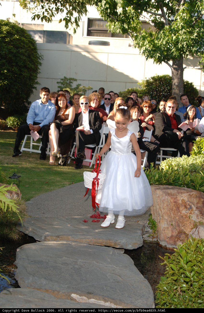 Little Bride in White Dress
