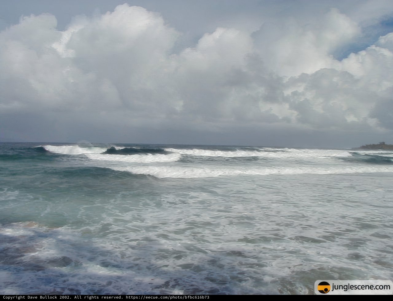 Majestic Ocean Waves at Hawaii Beach