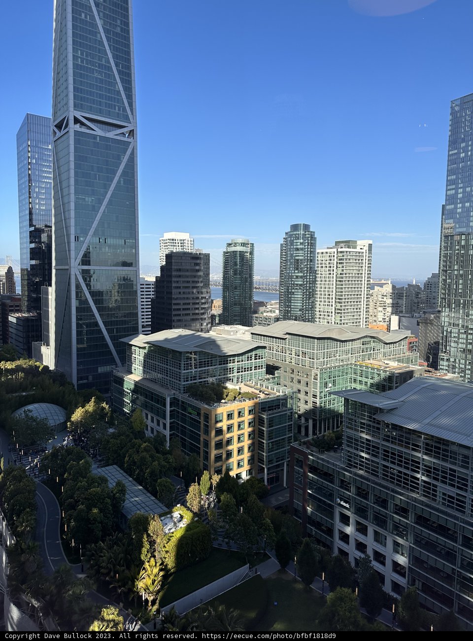 San Francisco Skyscape