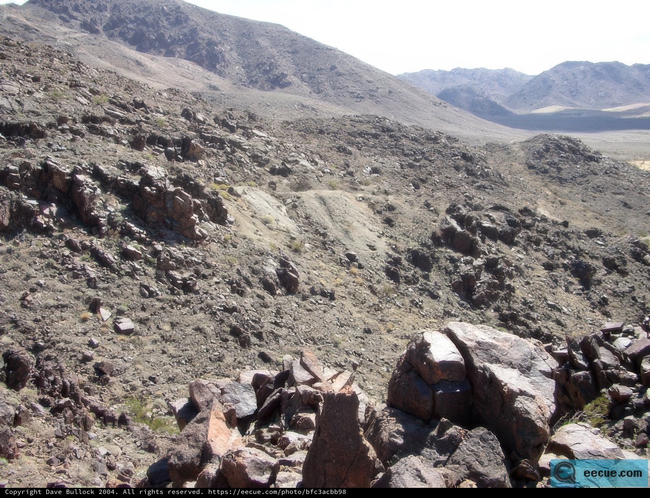 Rocky Wilderness