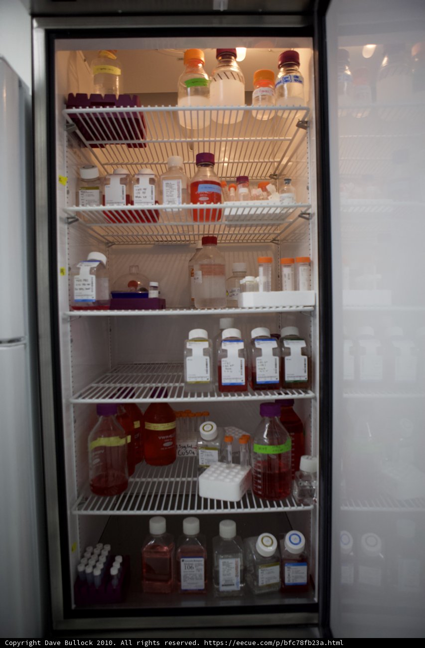 Fully Stocked Refrigerator