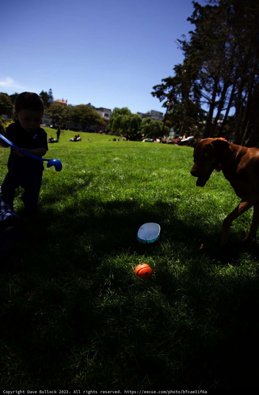 Summer Joy: Fun Times at Delores Park