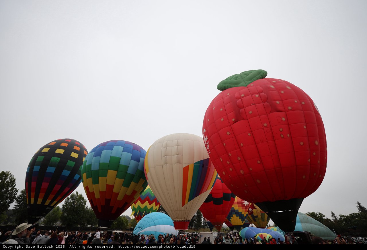 Giant Strawberry Balloon Dominates Sonoma County Sky
