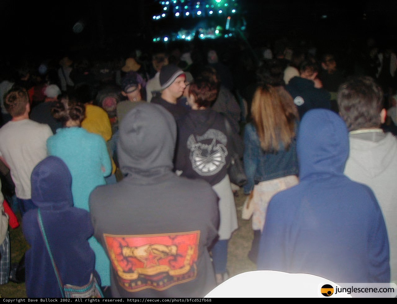 Nighttime Gathering