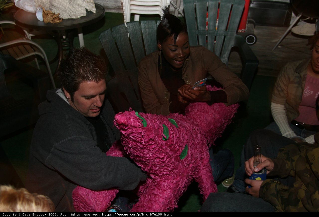 The Pinata Party