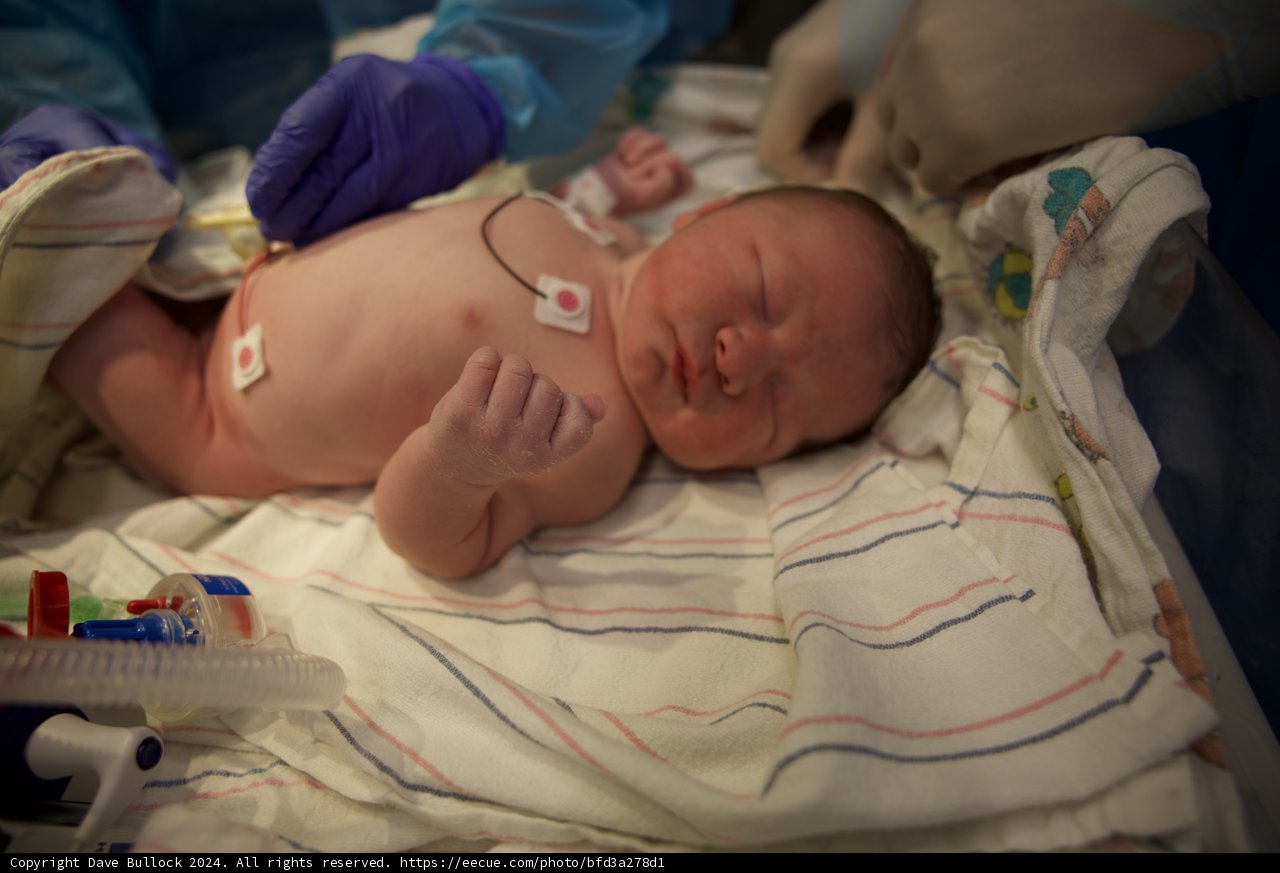 Welcome to the World, Leland