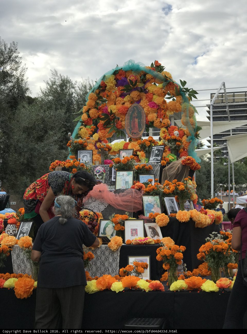 The Grand Display of Flowers