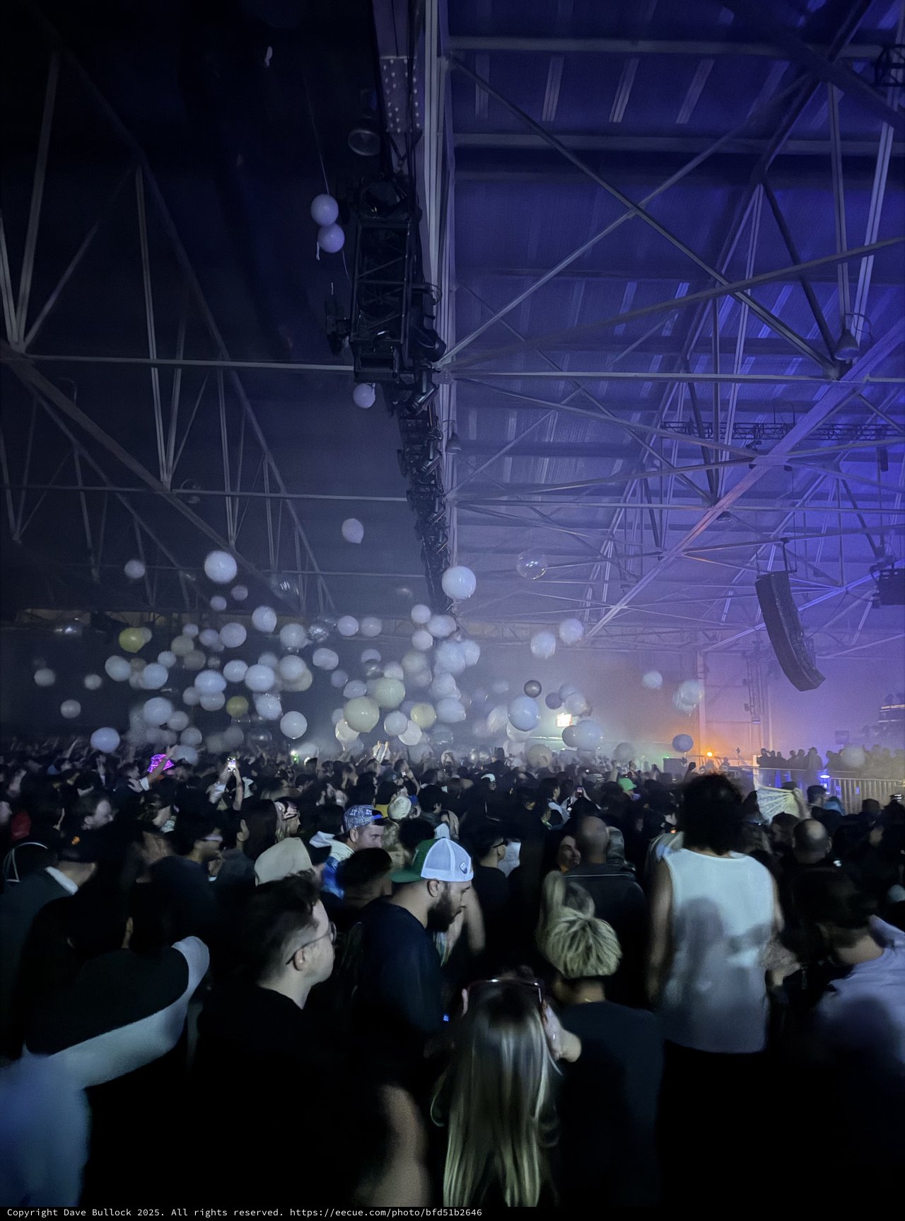 New Year's Eve Electronic Music Festival with Balloon Drop