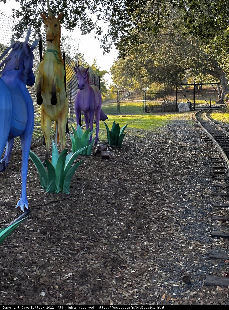 Majestic Horses in the Park
