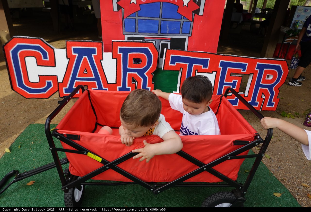 Adventure Awaits with Carter Wagon