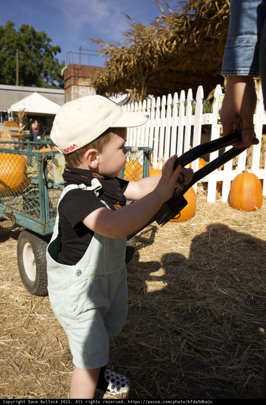 A Day on the Farm: Wesley's Pumpkin Patch Adventure