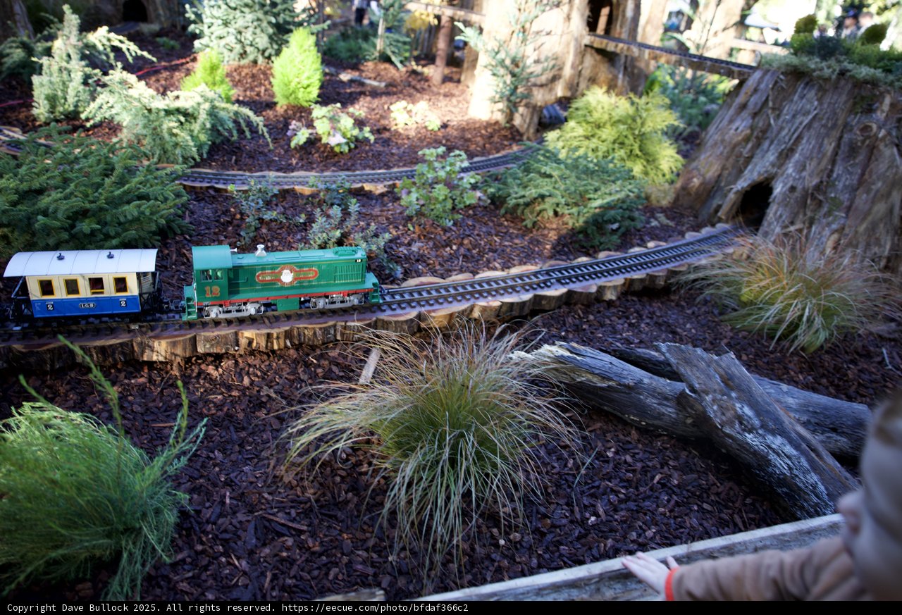 Enchanted Miniature Journey