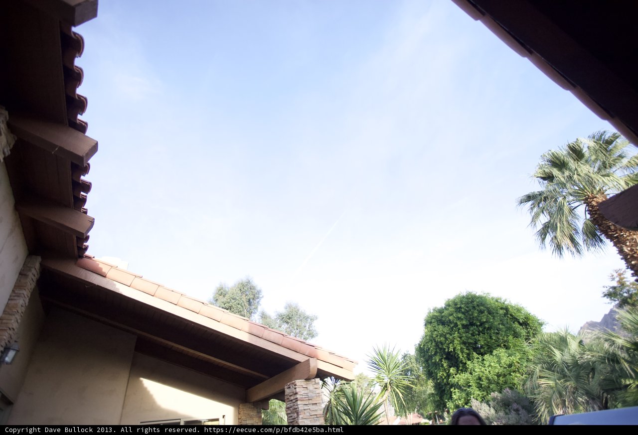 Under the Altadena Sky