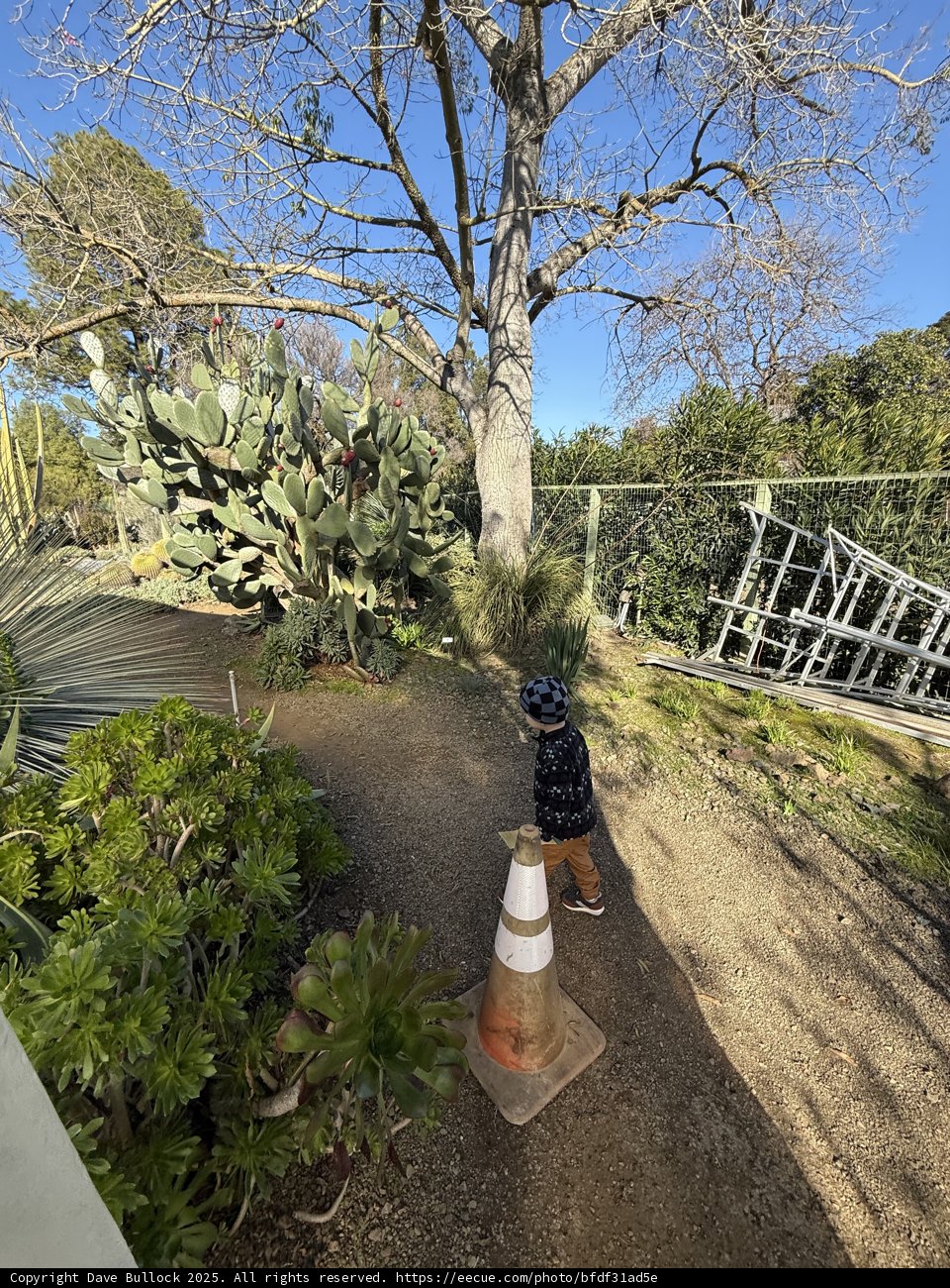 Exploring the Botanical Beauty