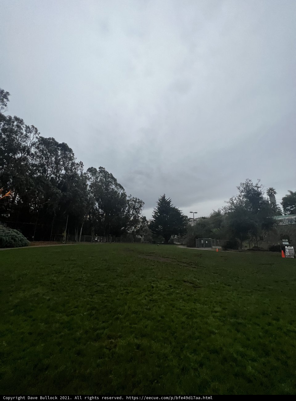 Serenity in the Park
