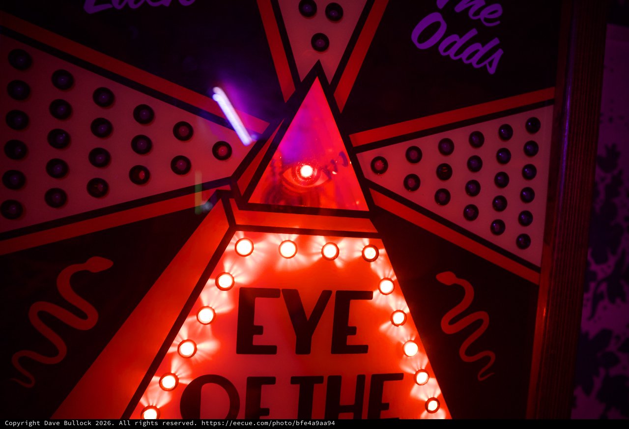 Eye of the Tiger Illuminated Neon Art Installation