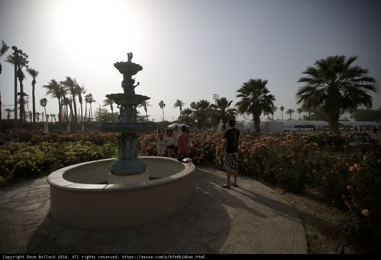 Serenity in the heart of the park