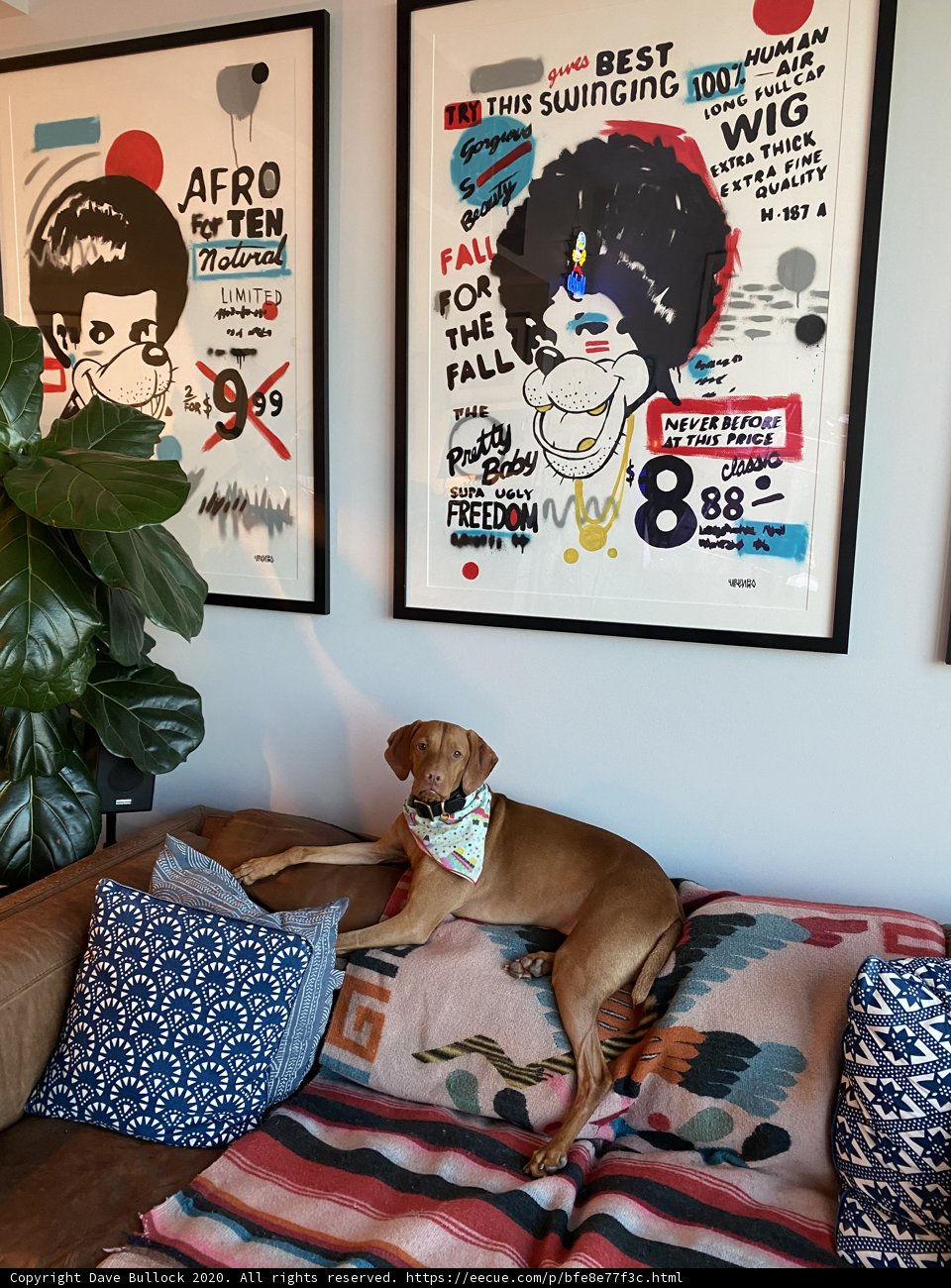 Home Decor with a Furry Friend