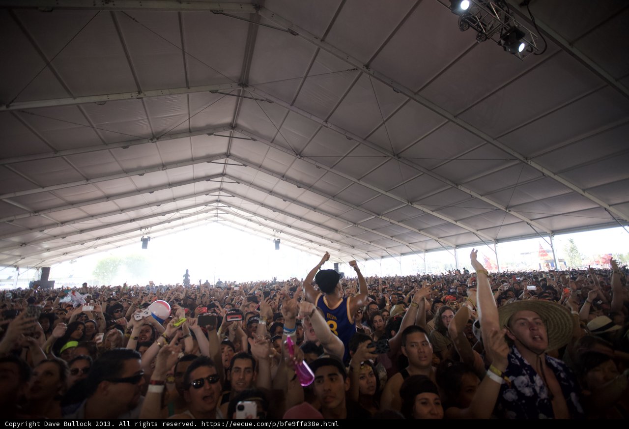 Coachella Music Festival Crowd Goes Wild