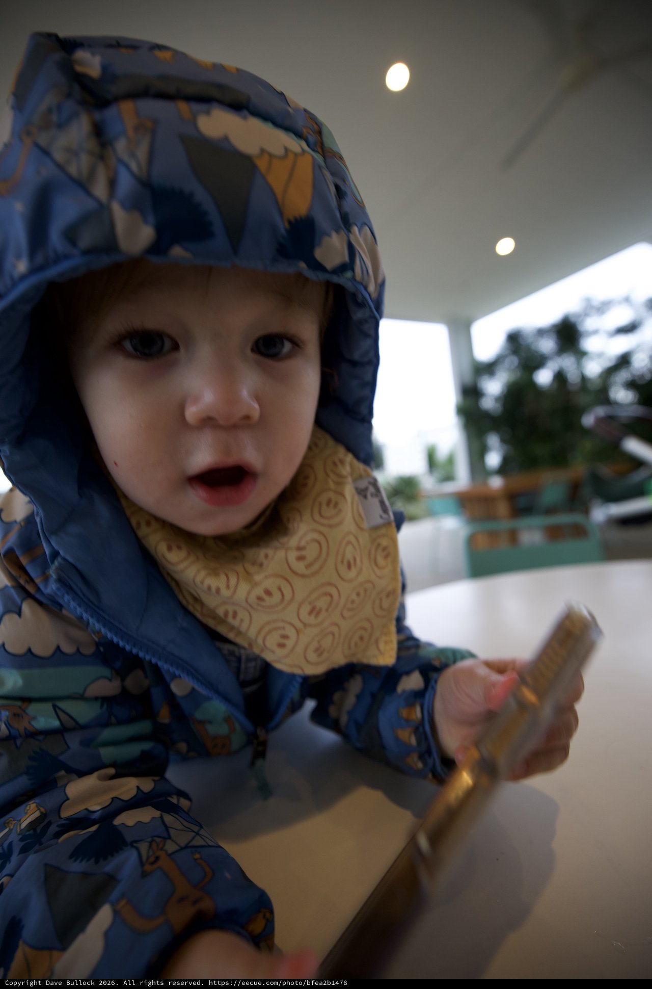 Young Child in Blue Patterned Rain Jacket at Restaurant