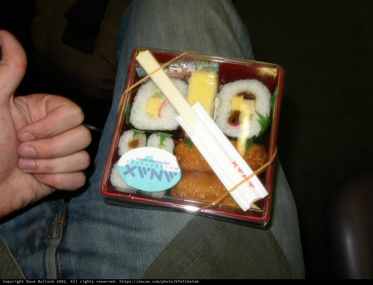 Savoring the Freshness of Sushi