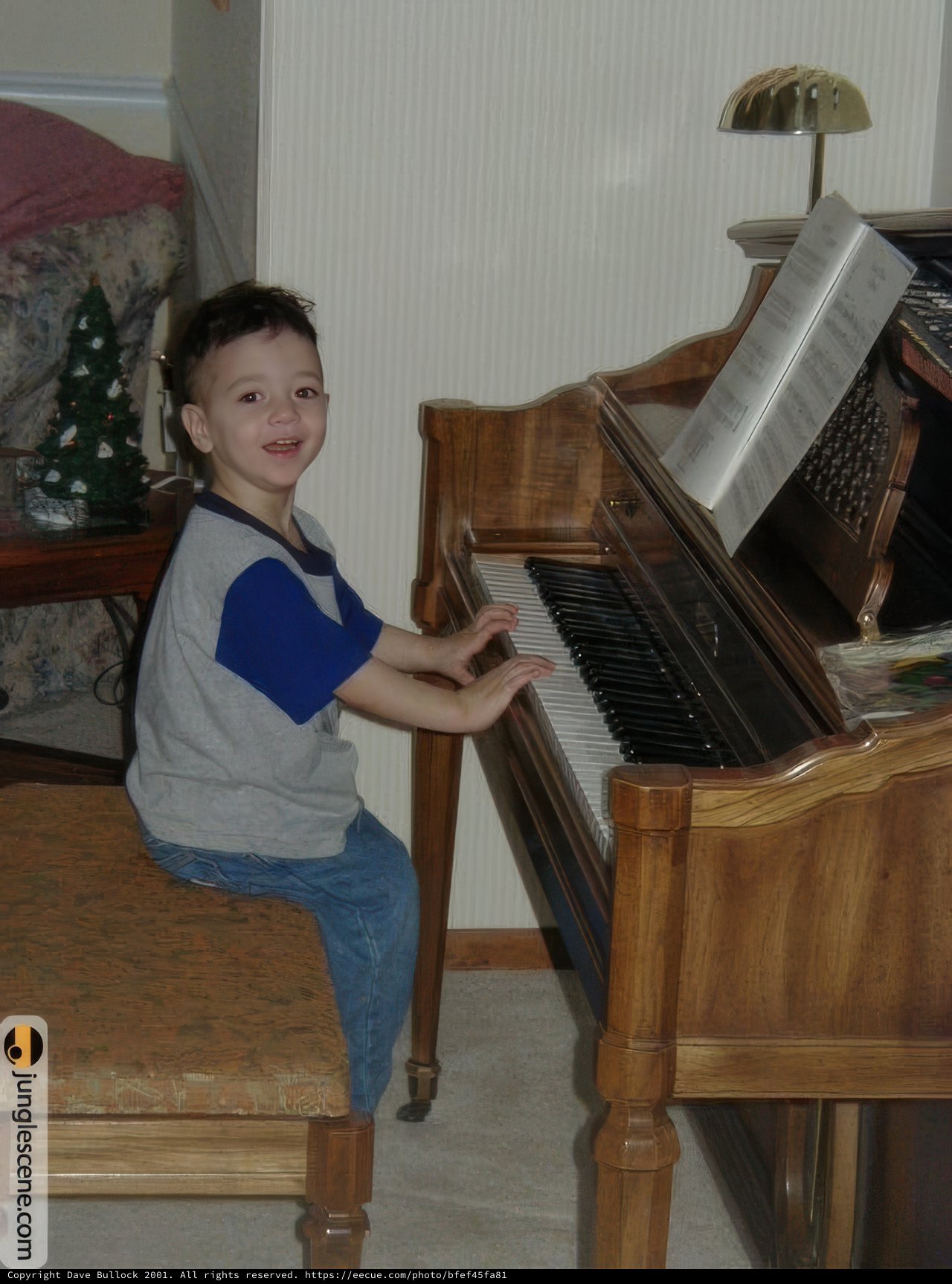 Piano Prodigy
