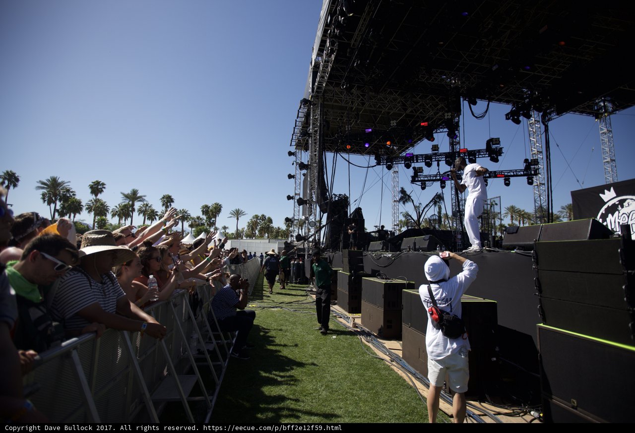 Euphoric Crowd at Coachella Concert