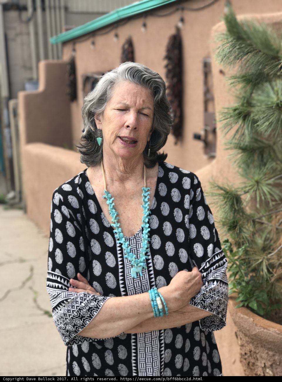 The Lively Lady of Santa Fe