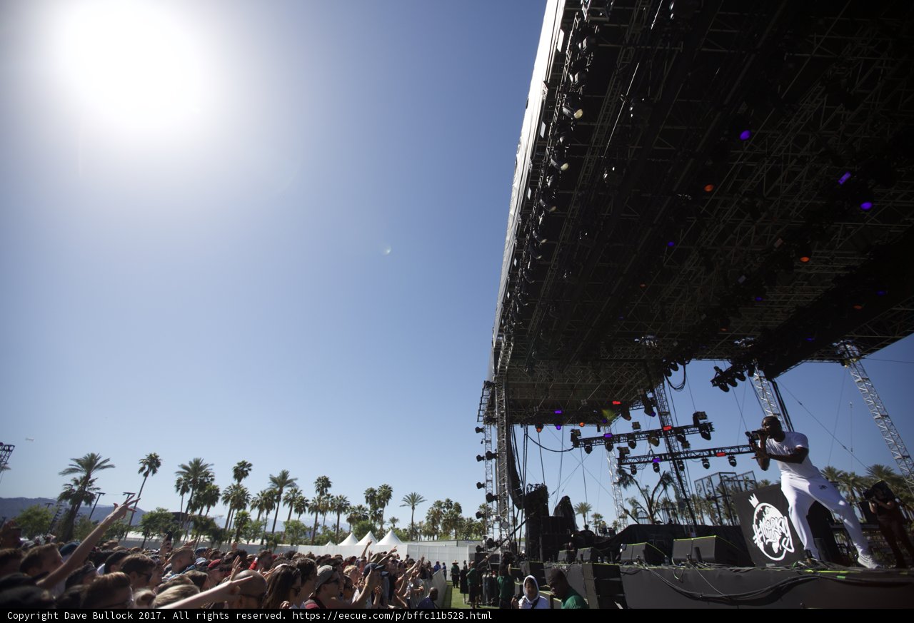 The Crowded Coachella Concert