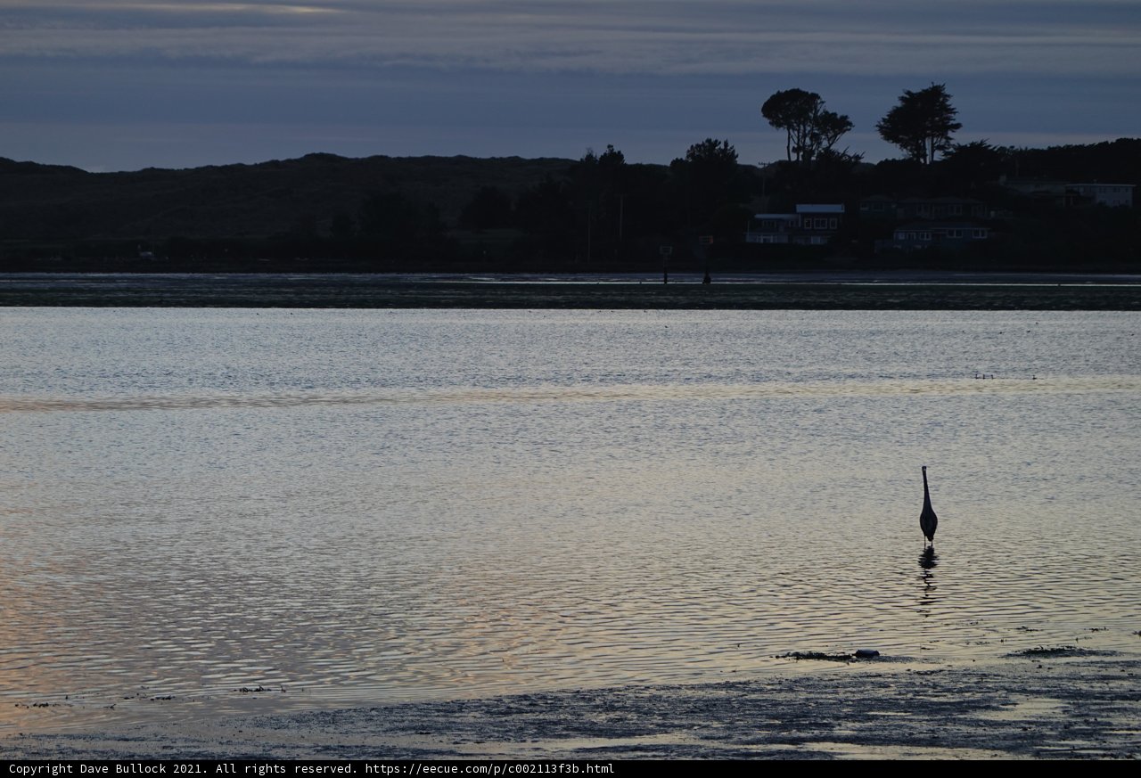 Sunset bird watching