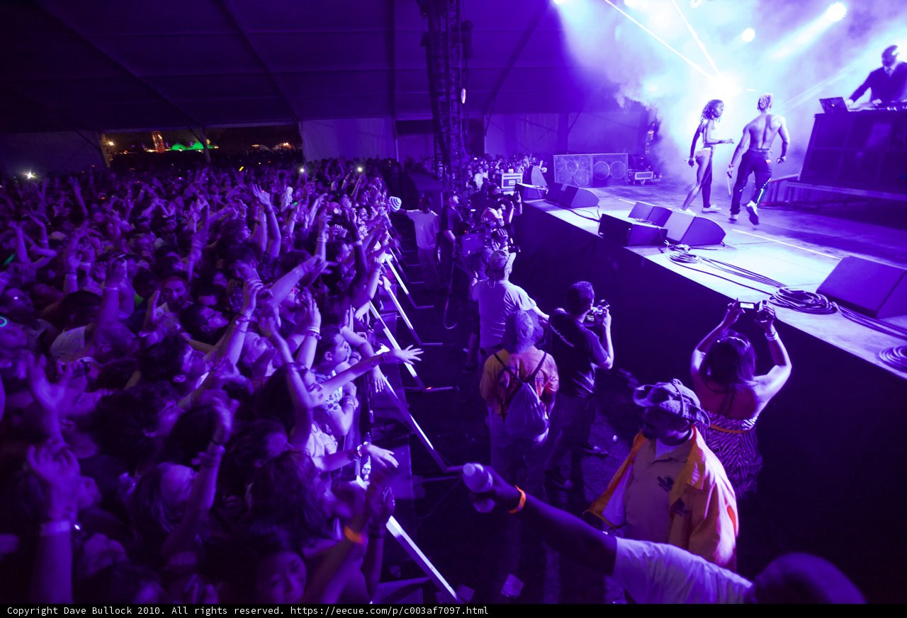 Purple Haze at Coachella