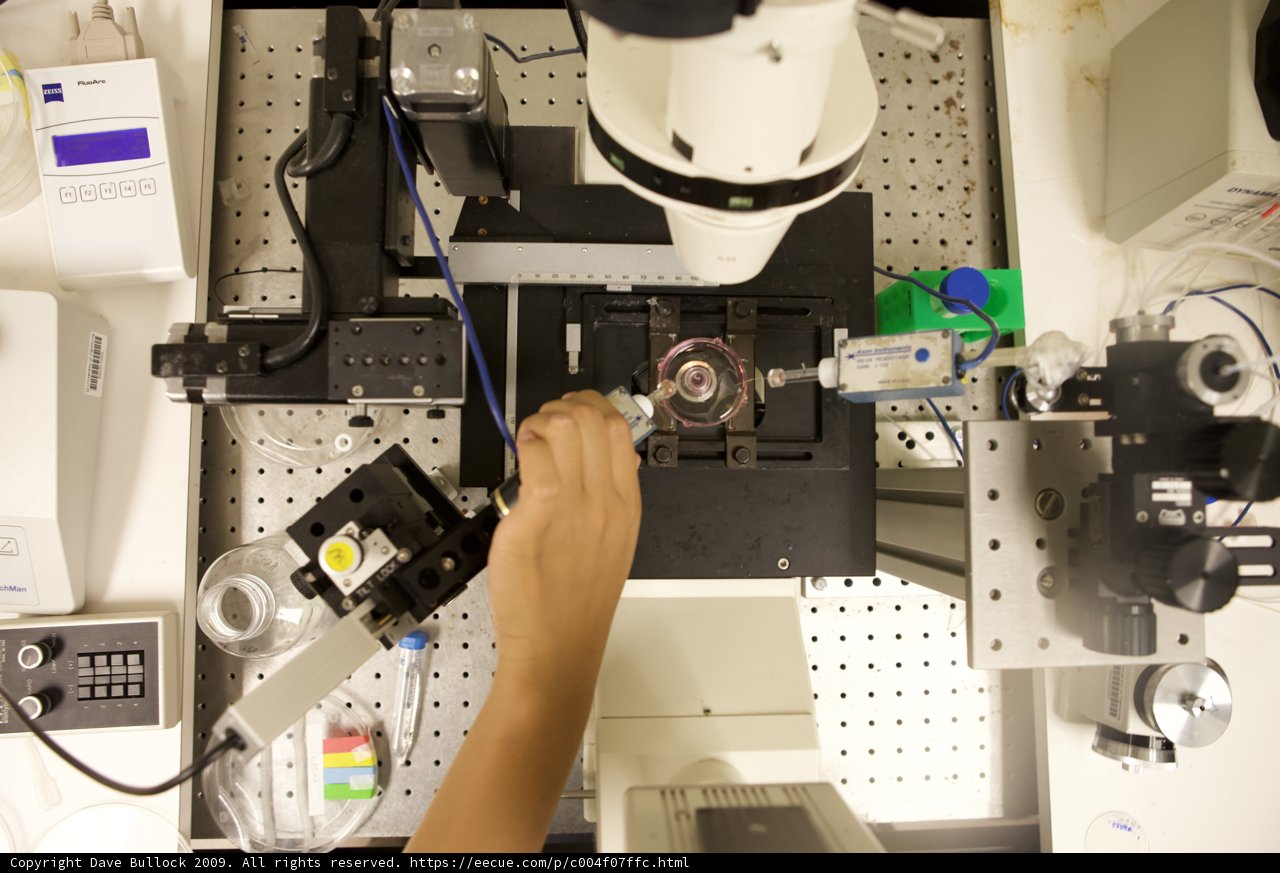 Microscopy in the Lab