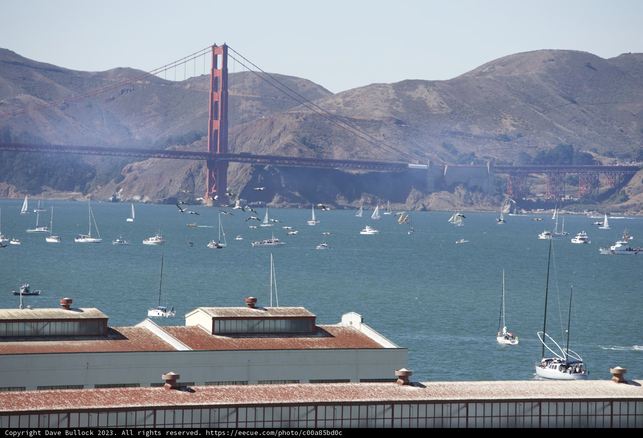 Fleet Week Extravaganza at the Golden Gate