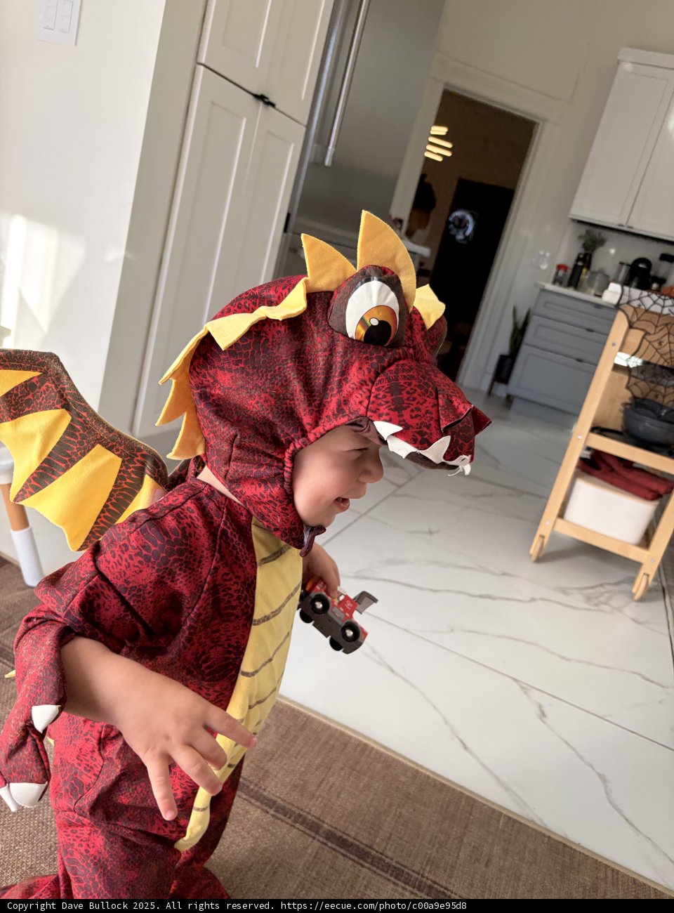 Little Dragon's Delight