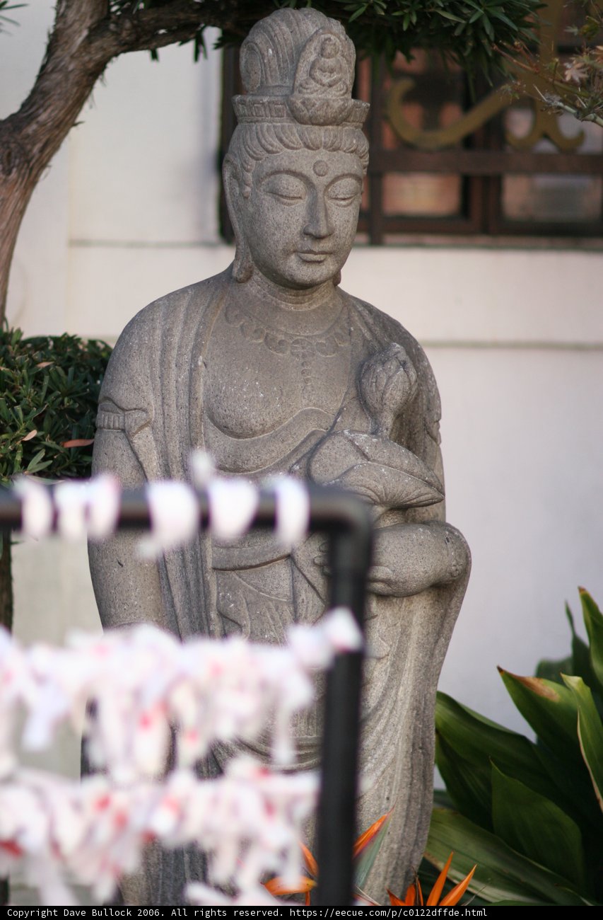 Serene Buddha Statue Amidst Lush Foliage
