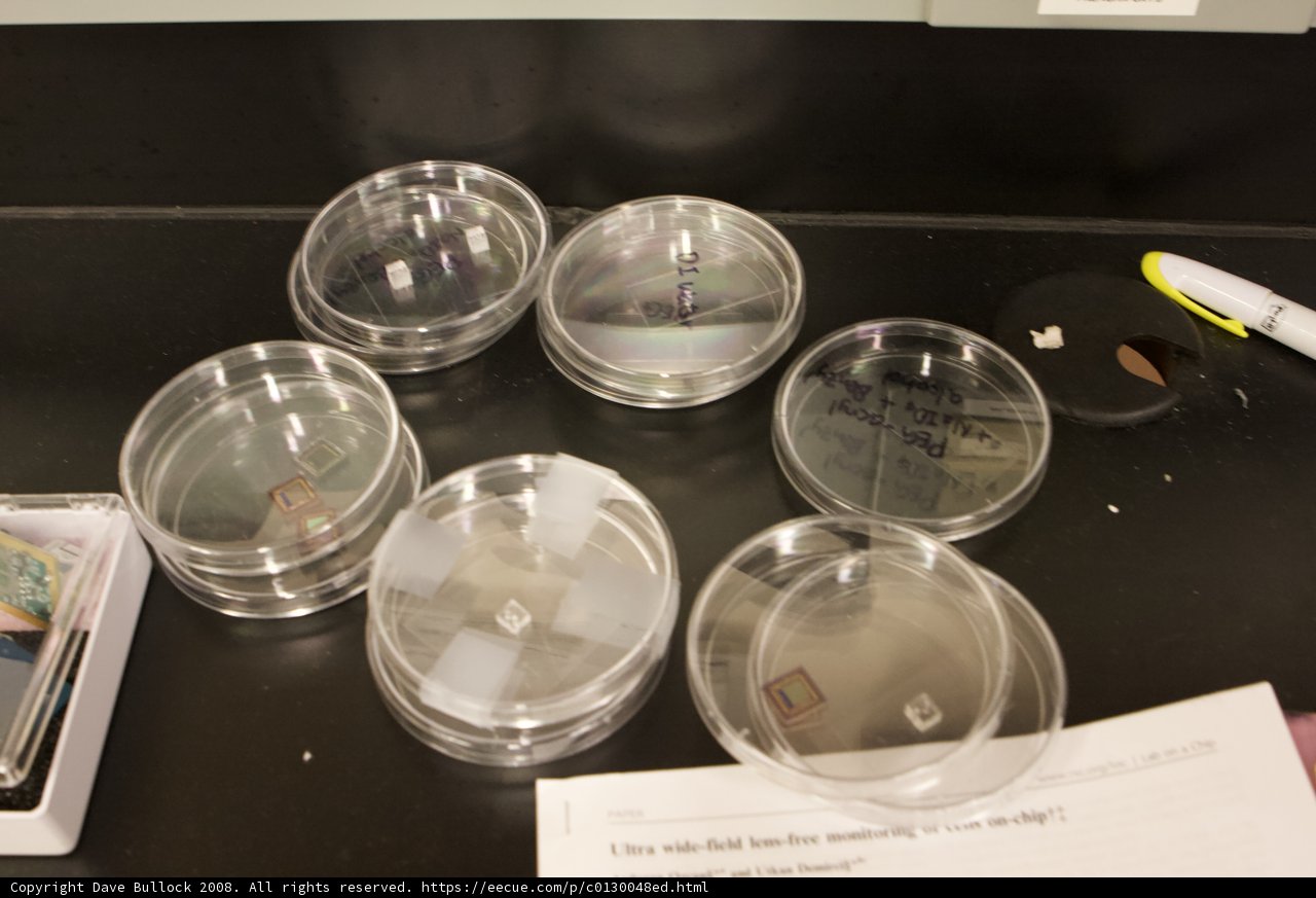 Clear Plastic Dishes on CalTech Scope on Chip Table