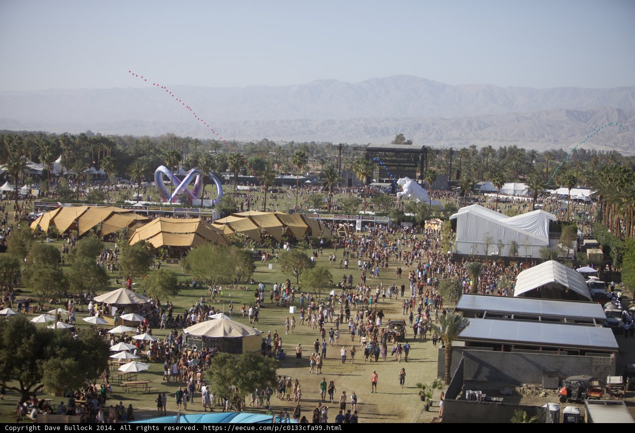 Festival Fun