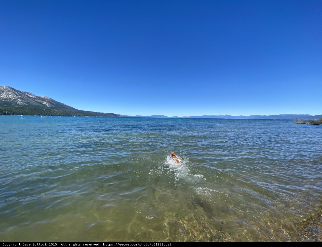 Majestic Mountain Swim