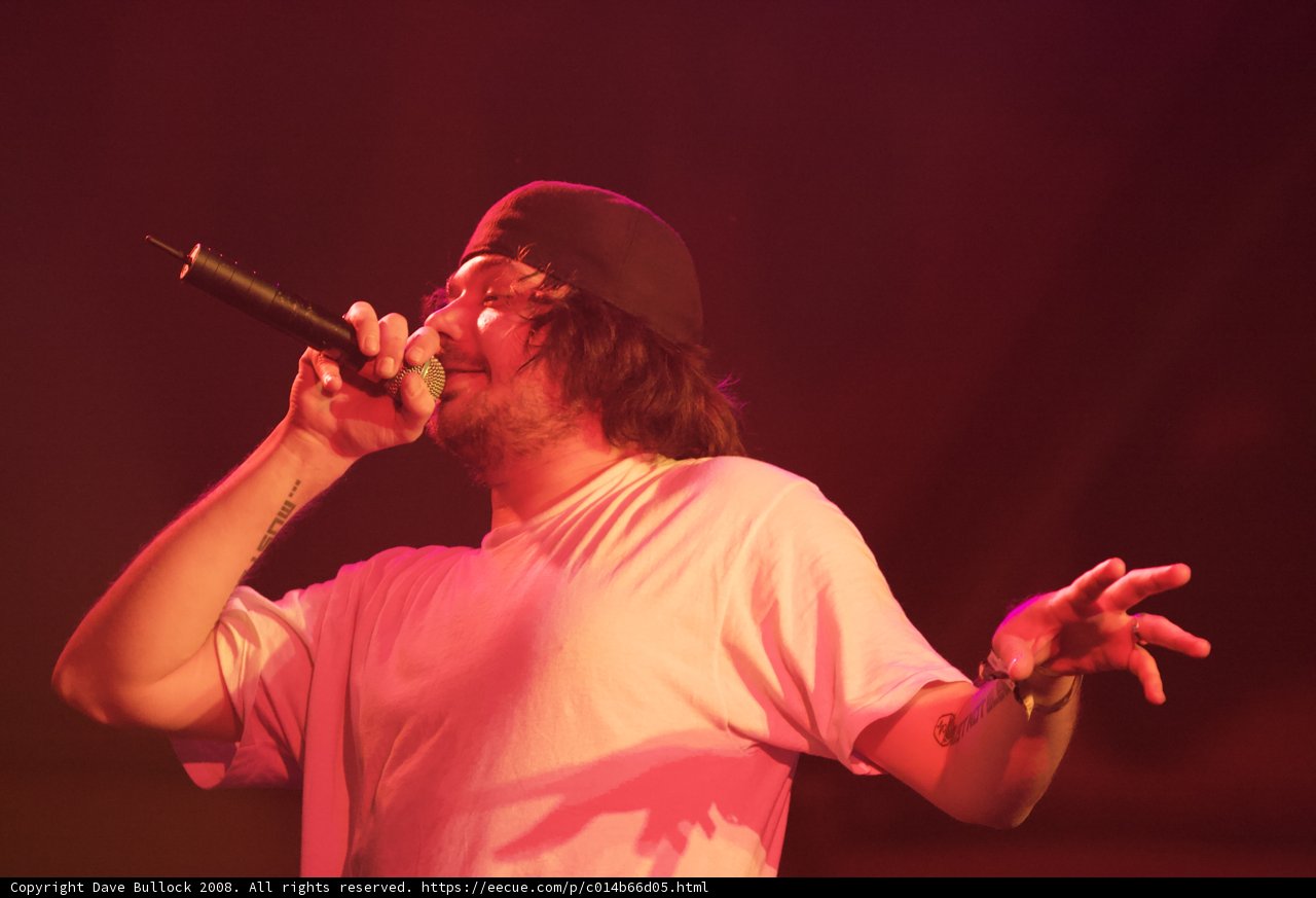 The Entertainer at Coachella