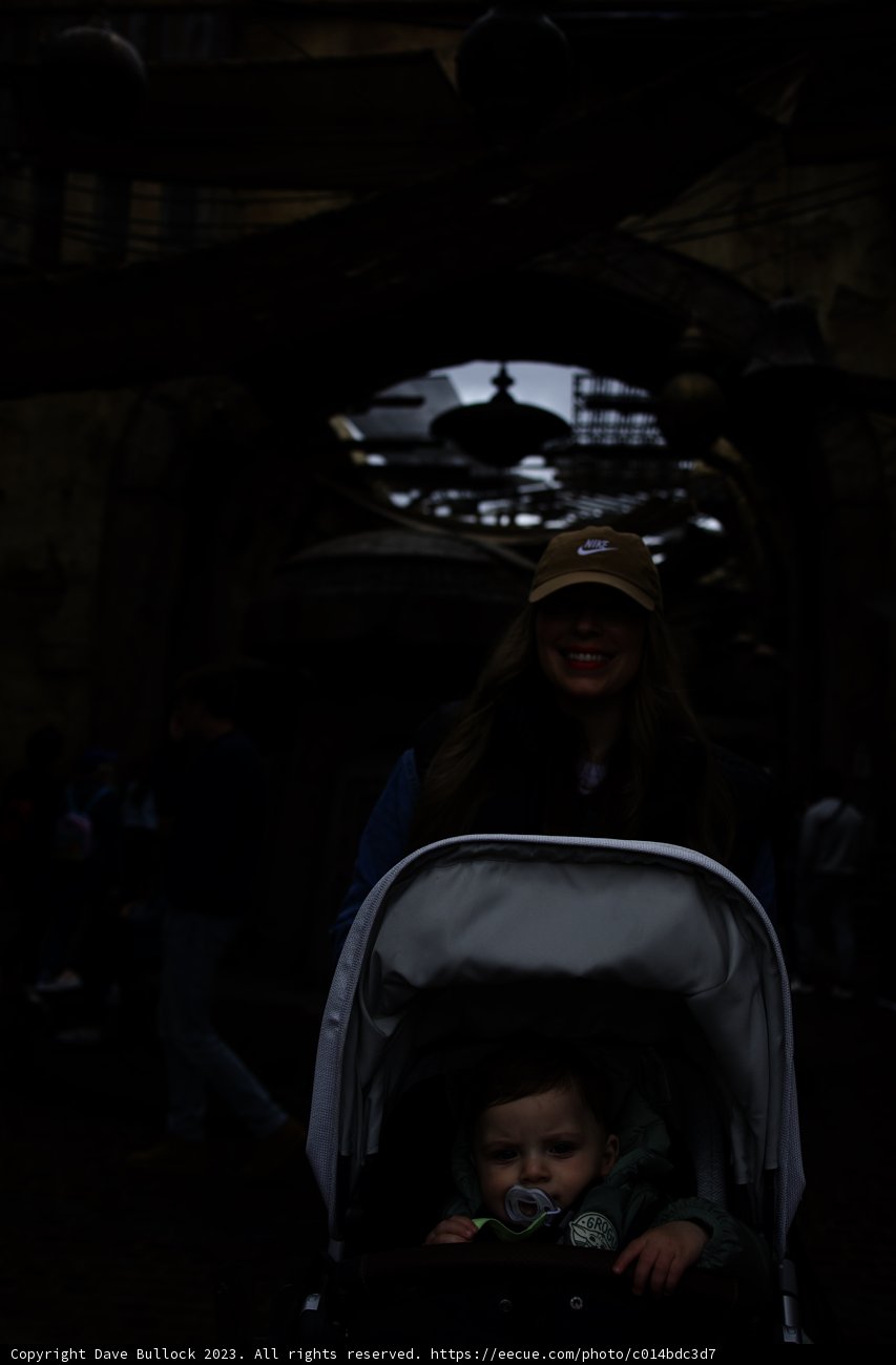 A Day Out at Disneyland