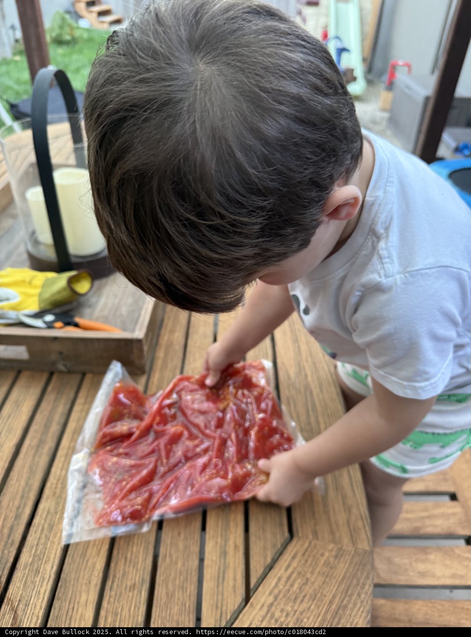 Culinary Curiosity