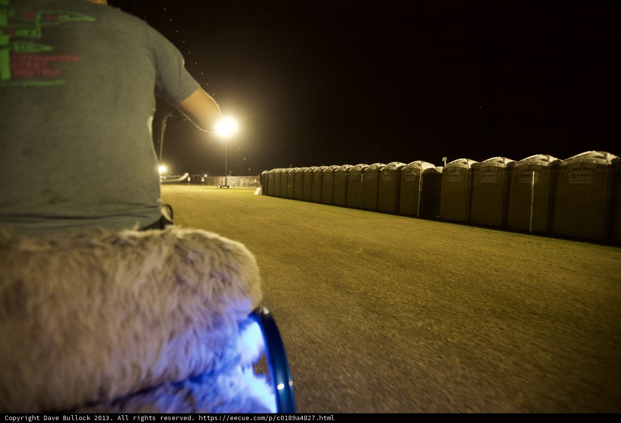 Night Ride With Furry Friend