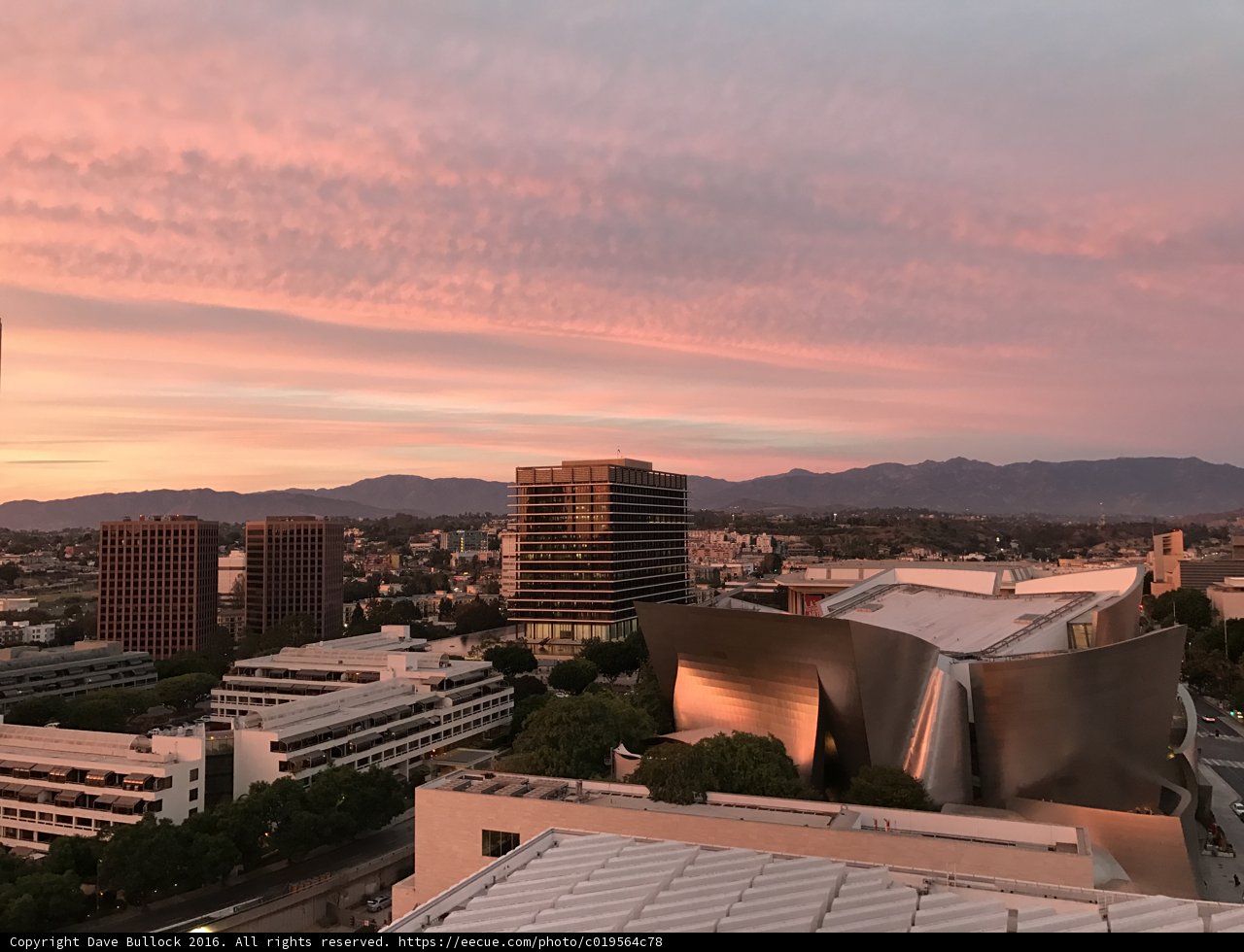 Golden Hour in the City of Angels