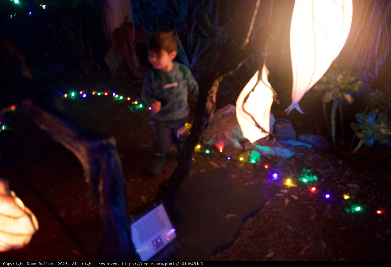 Enchanted Evening at the Garden of D'Lights
