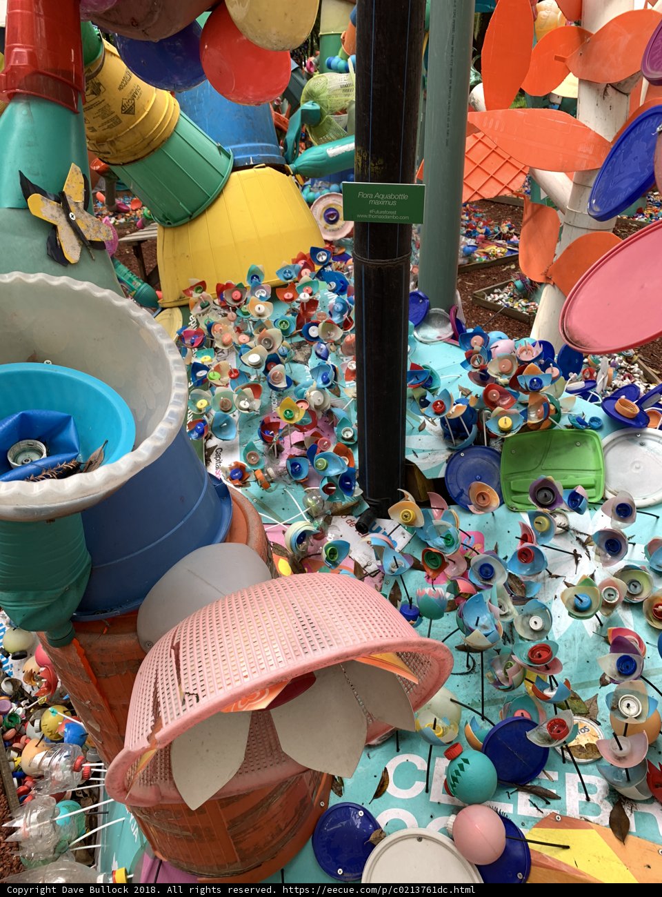 Playtime Galore