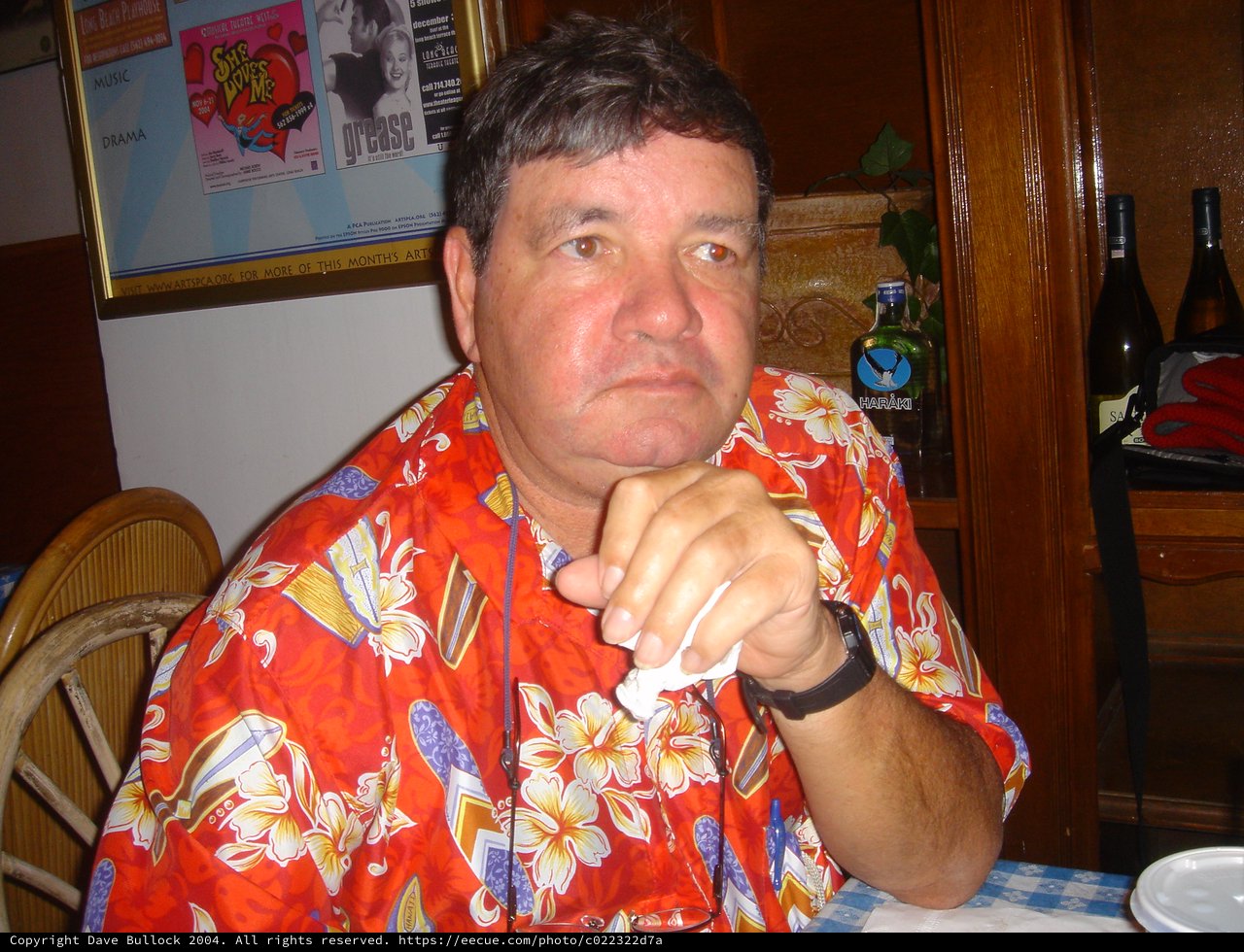 Man in Hawaiian Shirt at Casual Restaurant Dinner