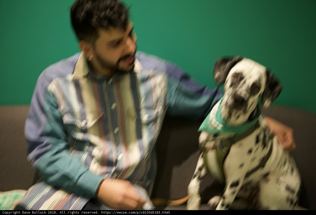 Man's Best Friend