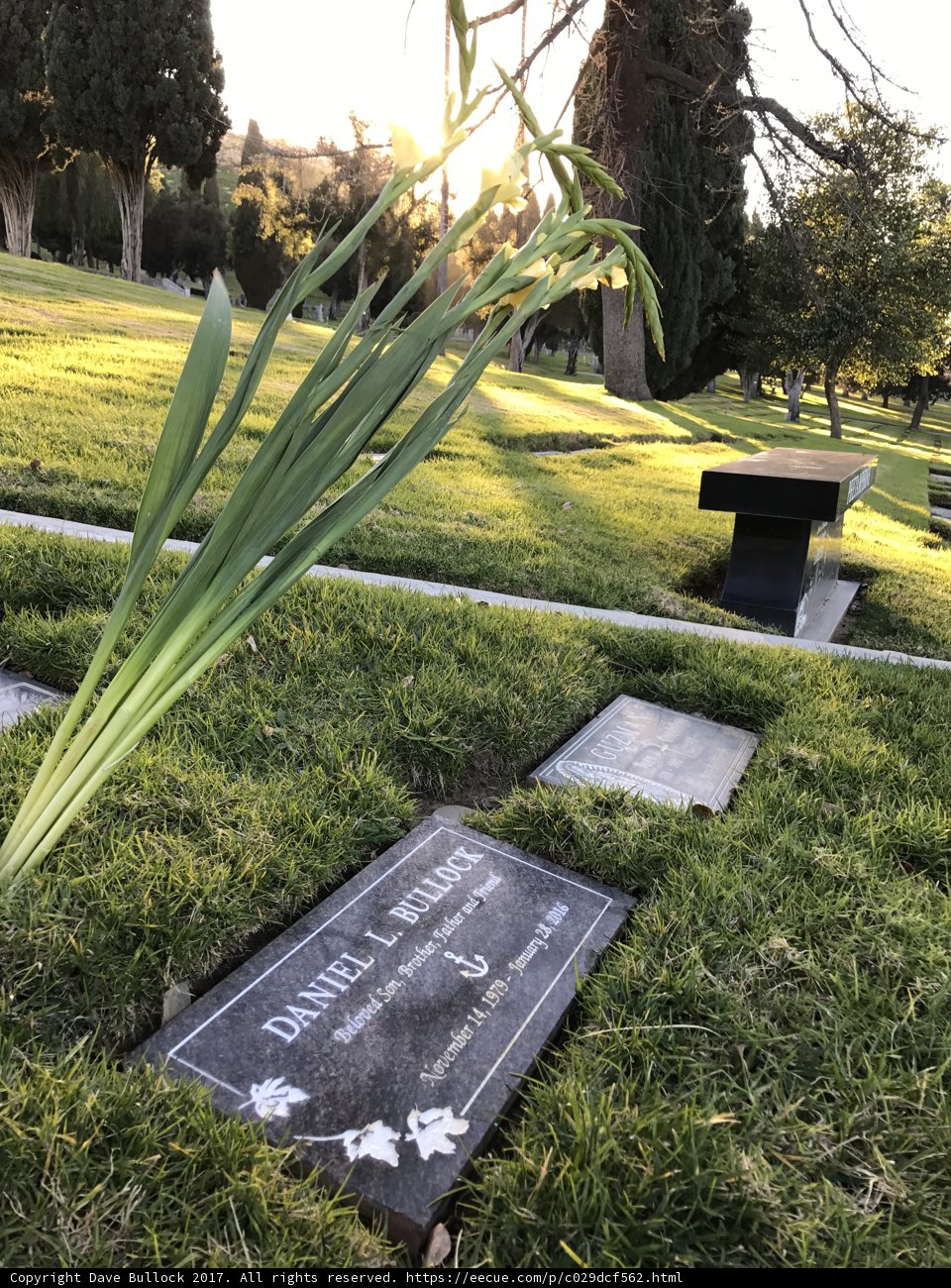 Remembered in Nature