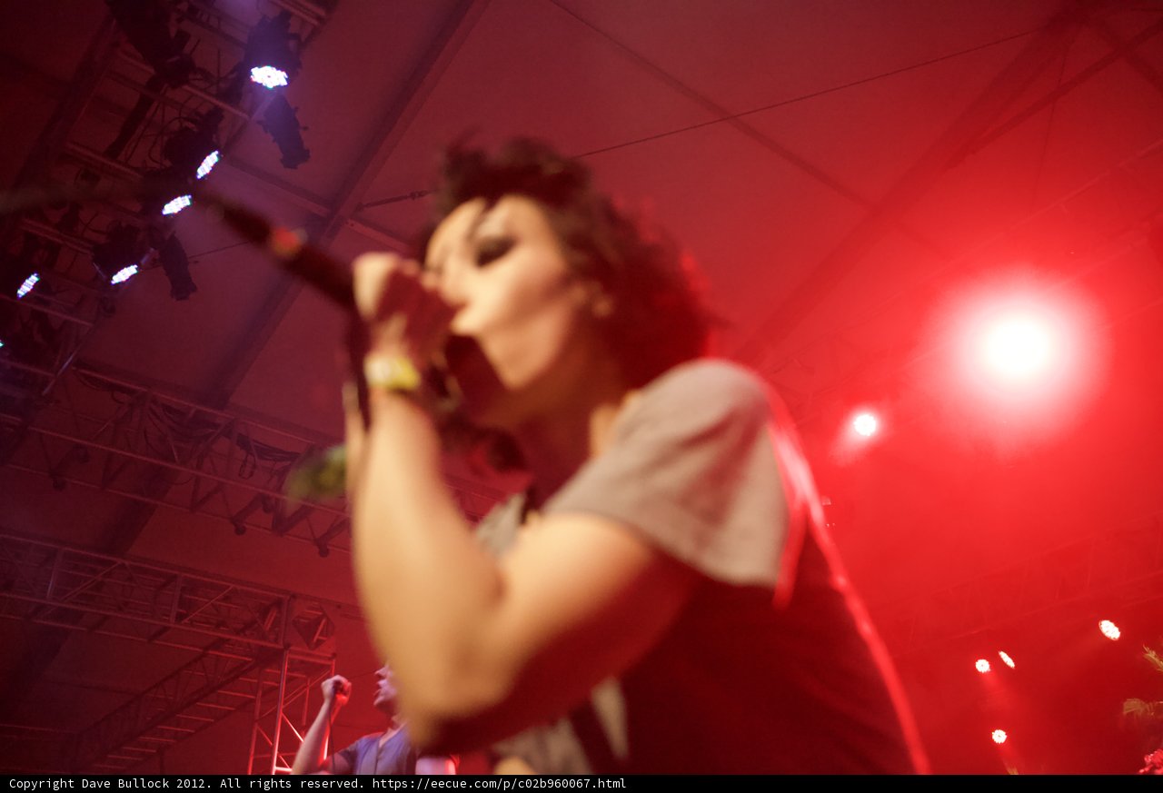 Woman Takes Center Stage at Coachella 2012