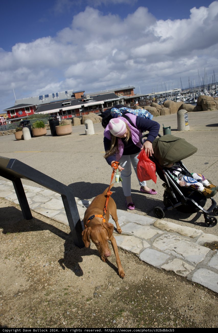 A Stroll Under Monterey Skies: Hi-Li's Adventure